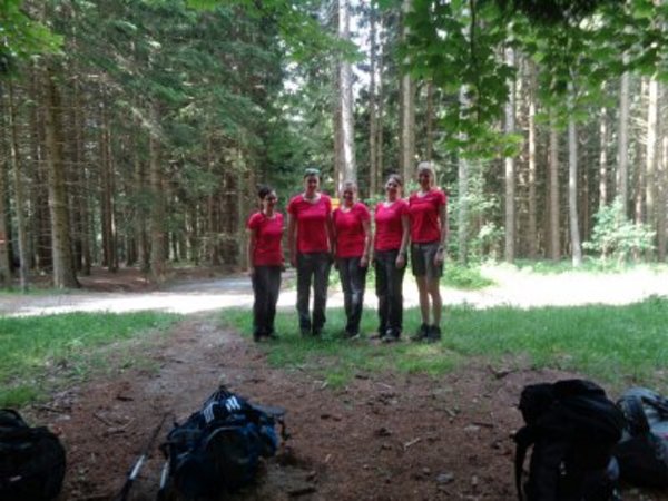 Schwaigen Reigen 2016