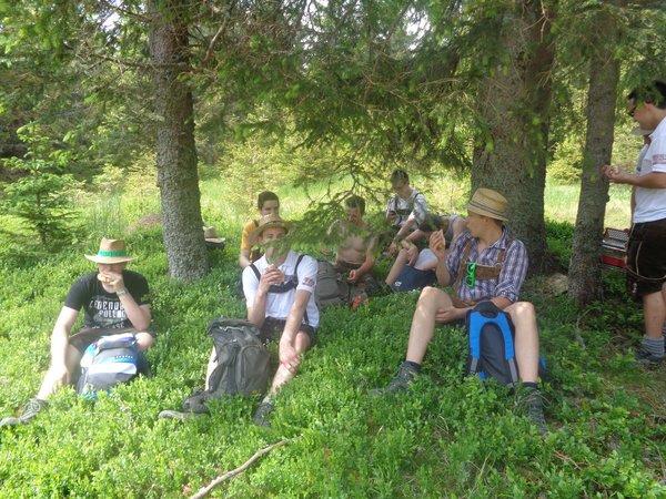 Schwaigen Reigen 2015